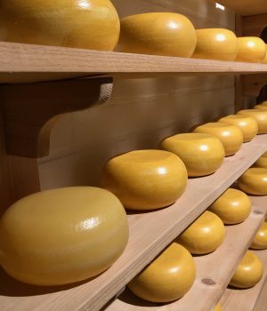 cheese, gouda cheese, food